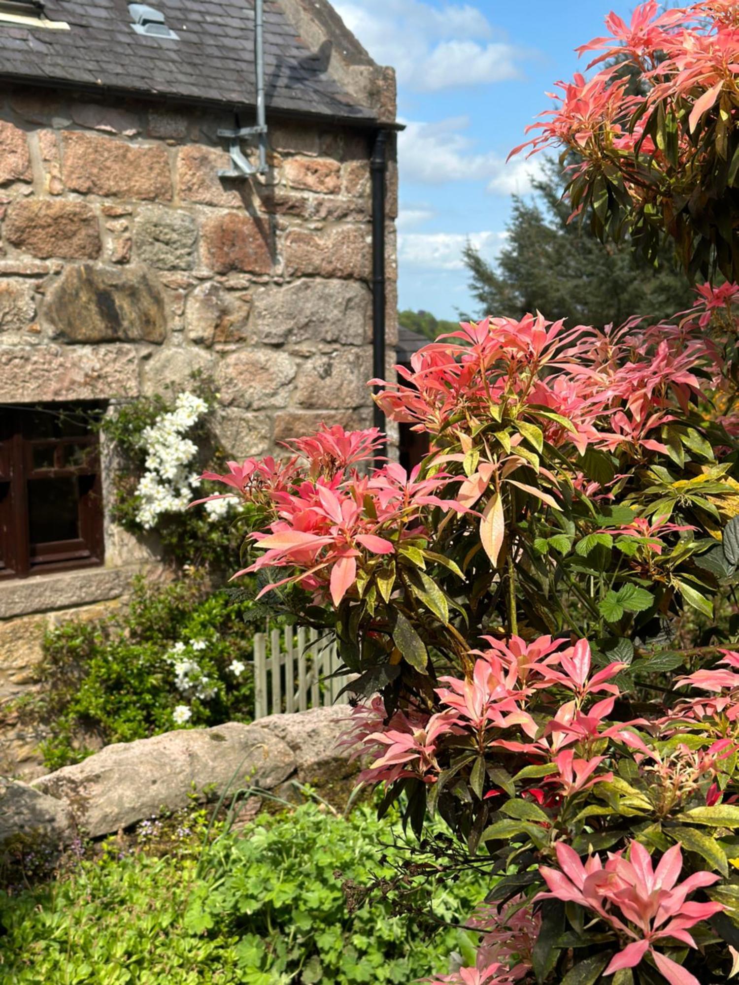 インヴァルリー Awakening Alchemy Retreat Centre Bed & Breakfast エクステリア 写真