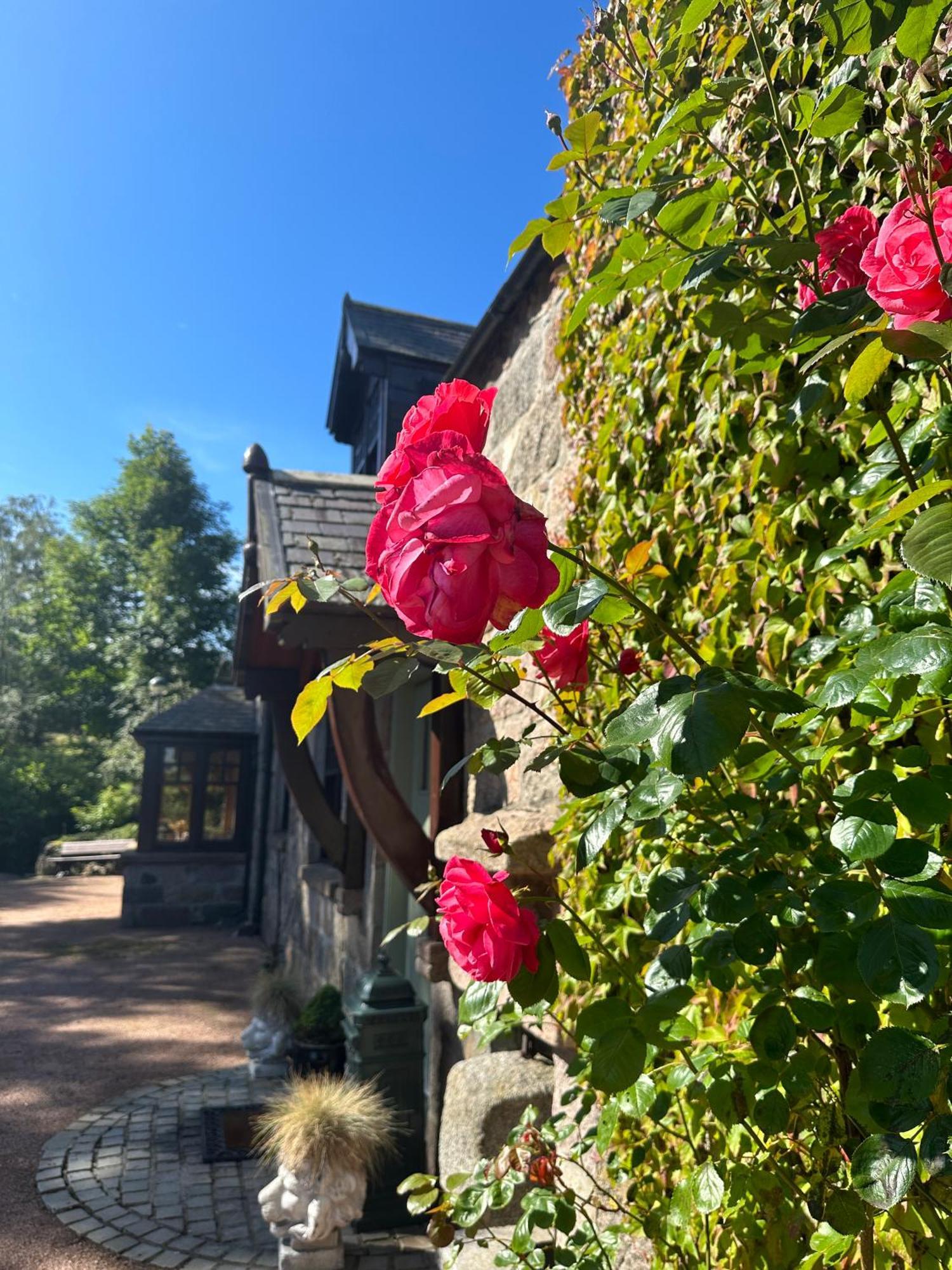 インヴァルリー Awakening Alchemy Retreat Centre Bed & Breakfast エクステリア 写真