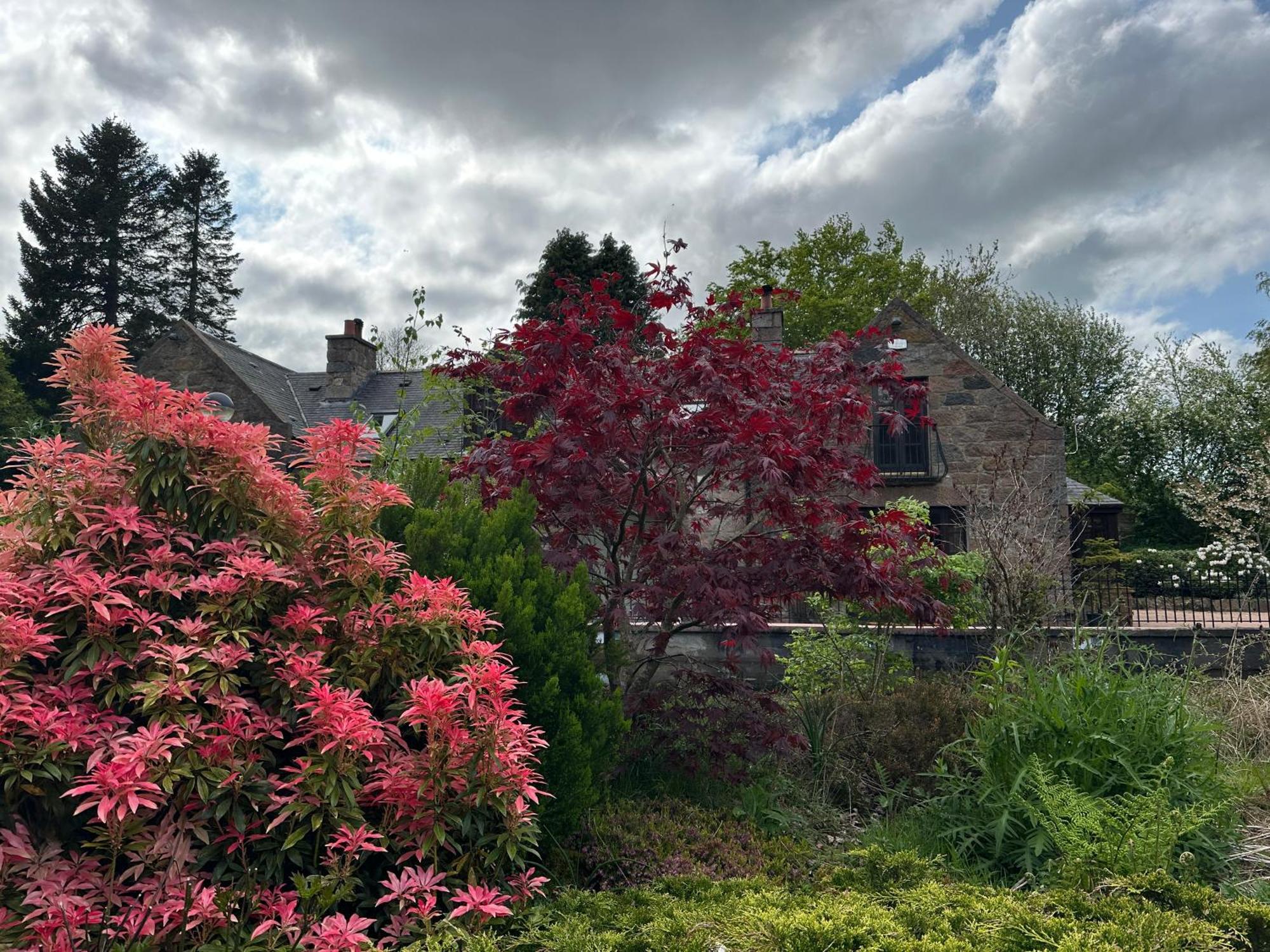 インヴァルリー Awakening Alchemy Retreat Centre Bed & Breakfast エクステリア 写真